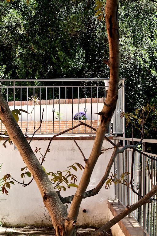 I Tre Pini Daire Pollica Dış mekan fotoğraf